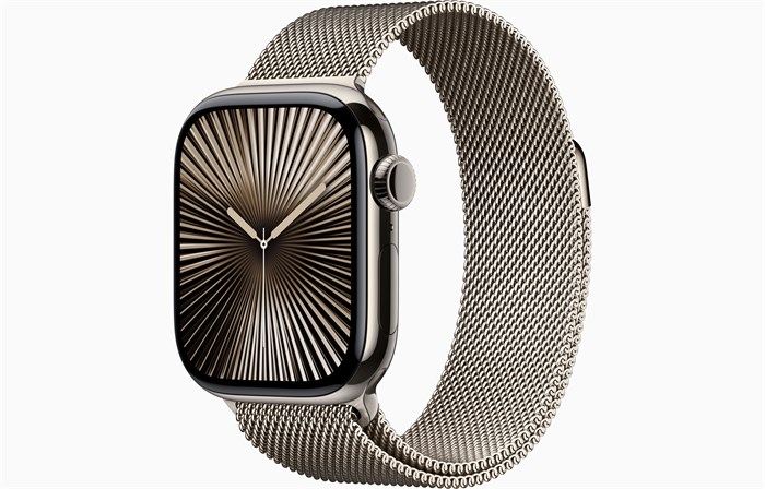 Apple Watch 10 42mm Natural  Titanium Case Milano Loop Apple Watch 10 42mm Natural  Titanium Case Milano Loop - фото 1038