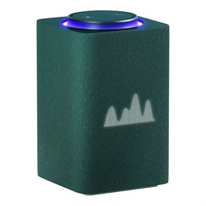 Умная колонка Яндекс.Станция Макс Zigbee (Зеленая) 1501785