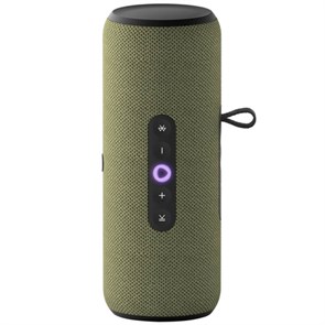 Умная портативная колонка Яндекс.Станция Стрит с Алисой (Зелёная) 2617899