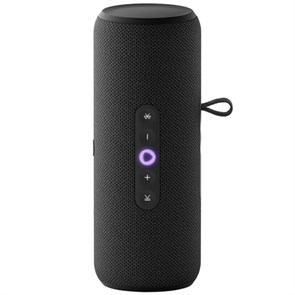 Умная портативная колонка Яндекс.Станция Стрит с Алисой (Чёрная) 2617900