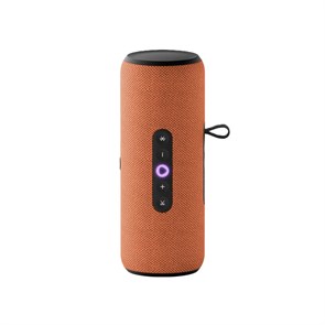 Умная портативная колонка Яндекс.Станция Стрит с Алисой (Оранжевая) 3020917