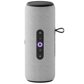 Умная портативная колонка Яндекс.Станция Стрит с Алисой (Серая) 2761473