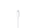 Наушники Apple EarPods с разъёмом Lightning 38295