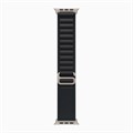 Часы Apple Watch Ultra 3 GPS 49 мм, корпус натуральный титан (Natural Titanium), ремешок Alpine, цвет: черный (Black), размер: M 2857288