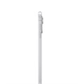 Планшет Apple iPad Pro 13 M5 (2025) 256 ГБ Wi-Fi + Сотовая связь (Cellular) (Серебристый) 2899339