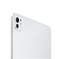 Планшет Apple iPad Pro 13 M5 (2025) 256 ГБ Wi-Fi + Сотовая связь (Cellular) (Серебристый) 2899339