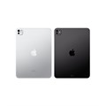 Планшет Apple iPad Pro 13 M5 (2025) 256 ГБ Wi-Fi + Сотовая связь (Cellular) (Серебристый) 2899339