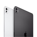 Планшет Apple iPad Pro 13 M5 (2025) 256 ГБ Wi-Fi + Сотовая связь (Cellular) (Серебристый) 2899339