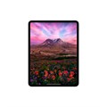 Планшет Apple iPad Pro 13 M5 (2025) 256 ГБ Wi-Fi + Сотовая связь (Cellular) (Серебристый) 2899339