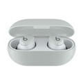 Беспроводные наушники Beats Solo Buds, цвет: штормовой серый (Storm Gray) 2404131