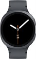 Умные часы Samsung Galaxy Watch 8 44mm LTE (Graphite) Умные часы Samsung Galaxy Watch 8 44mm LTE (Graphite)