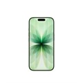 Телефон Apple iPhone 17 256 ГБ, eSim (электронная SIM-карта), цвет: шалфейный (Sage) iPhone 17 256 Sage eSim